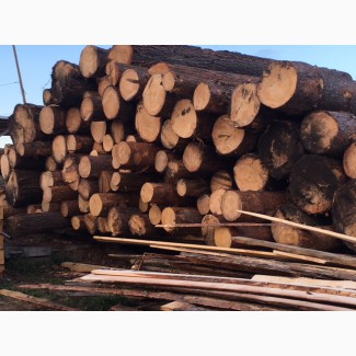 Услуга по распиловки древесины в Кемерово